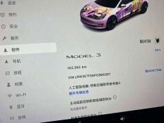 Tesla Model 3 2022 Rear-Wheel Drive - ფოტო 17