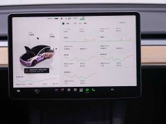 Tesla Model 3 2022 Rear-Wheel Drive - ფოტო 19