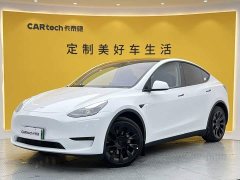 Tesla Model Y Long Range All-Wheel Drive - ფოტო 1