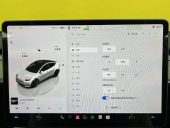 Tesla Model Y Long Range All-Wheel Drive - ფოტო 16