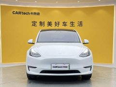 Tesla Model Y Long Range All-Wheel Drive - ფოტო 3