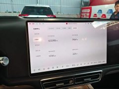 Li Auto L9 Max - ფოტო 10