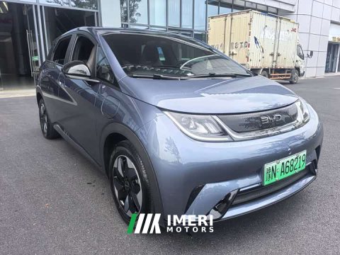 2026 BYD Dolphin 2025 420km Freedom Edition - ავტომობილი ჩინეთიდან