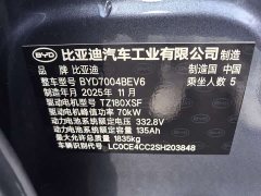 BYD Dolphin 2025 420km Freedom Edition - ფოტო 11