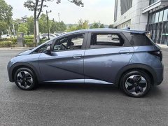 BYD Dolphin 2025 420km Freedom Edition - ფოტო 12