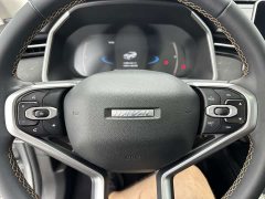 Haval Chitu Jingxiang Edition 1.5T Purple Copper Rabbit - ფოტო 15