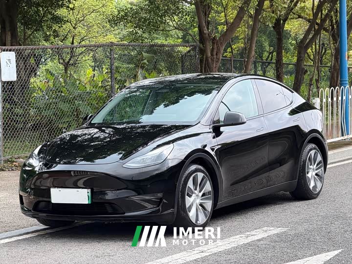 Tesla Model Y Long Range All-Wheel Drive - ავტომობილი ჩინეთიდან