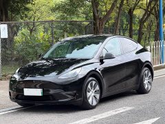 Tesla Model Y Long Range All-Wheel Drive - ფოტო 1