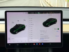 Tesla Model Y Long Range All-Wheel Drive - ფოტო 17