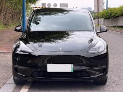 Tesla Model Y Long Range All-Wheel Drive - ფოტო 2