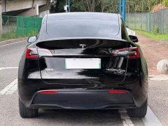Tesla Model Y Long Range All-Wheel Drive - ფოტო 7