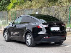 Tesla Model Y Long Range All-Wheel Drive - ფოტო 8