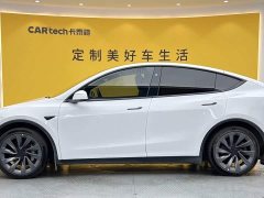 Tesla Model Y Long Range All-Wheel Drive - ფოტო 7