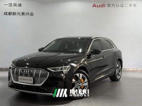 2021 Audi e-tron (Imported) 2019 55 quattro Fashion - ავტომობილი ჩინეთიდან