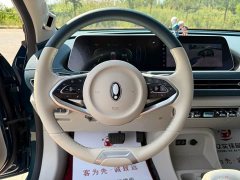ORA Good Cat Morandi Edition 400km Standard Range Luxury Trim LFP - ფოტო 13