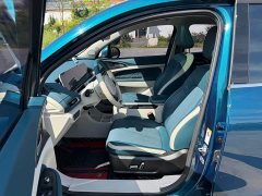 ORA Good Cat Morandi Edition 400km Standard Range Luxury Trim LFP - ფოტო 4