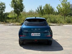 ORA Good Cat Morandi Edition 400km Standard Range Luxury Trim LFP - ფოტო 8