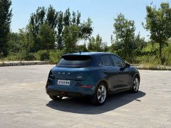 ORA Good Cat Morandi Edition 400km Standard Range Luxury Trim LFP - ფოტო 9