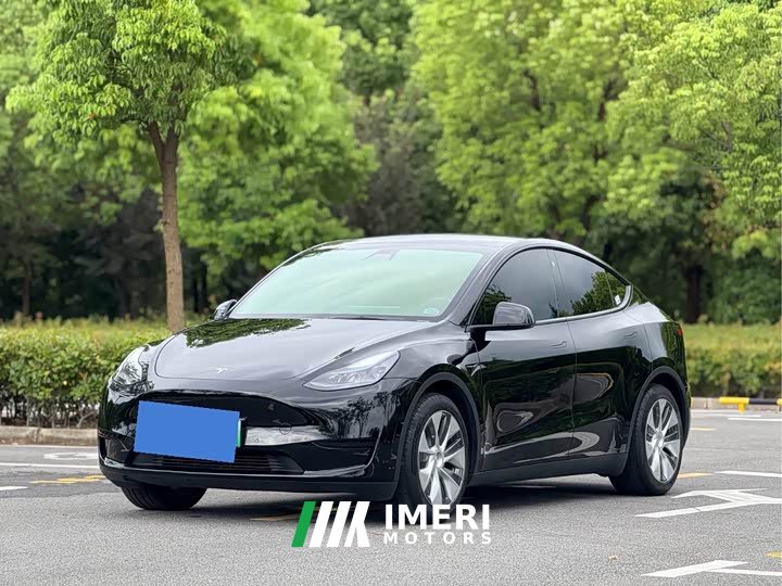 Tesla Model Y 2022 Rear-Wheel Drive - ავტომობილი ჩინეთიდან