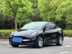 Tesla Model Y 2022 Rear-Wheel Drive - ფოტო 1