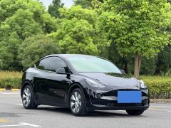 Tesla Model Y 2022 Rear-Wheel Drive - ფოტო 3