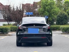 Tesla Model Y 2022 Rear-Wheel Drive - ფოტო 5