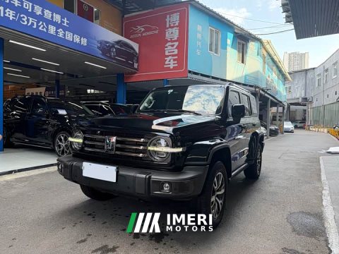2022 Tank 300 2023 City Edition 2.0T Stylish - ავტომობილი ჩინეთიდან