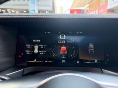 Tank 300 2023 City Edition 2.0T Stylish - ფოტო 15