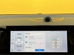 Voyah Avatr Dream Car Low Carbon Edition with Smart Driving Package - ფოტო 19