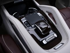 Mercedes-Benz Maybach GLS 480 4MATIC - ფოტო 10