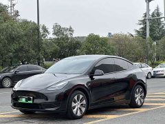 Tesla Model Y Rear-Wheel Drive - ფოტო 1