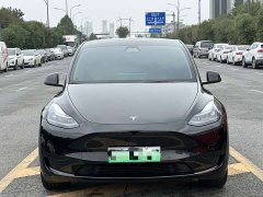 Tesla Model Y Rear-Wheel Drive - ფოტო 2