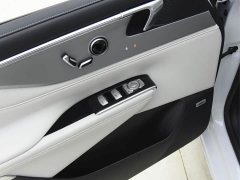Buick GL8 New Energy Luzun Respect Edition 7-Seater - ფოტო 14