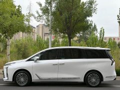 Buick GL8 New Energy Luzun Respect Edition 7-Seater - ფოტო 19