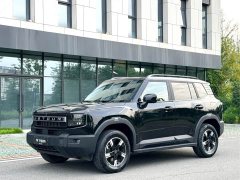 Jetour Jietu Liberator 1.5T DCT Discovery - ფოტო 1