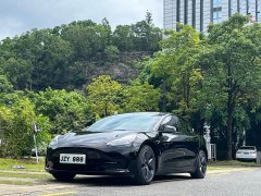 Tesla Model 3 Rear-Wheel Drive - ფოტო 1