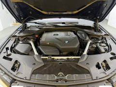 BMW 5 Series 530Li Luxury M Sport Package - ფოტო 11