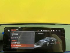 BMW 5 Series 530Li Luxury M Sport Package - ფოტო 19