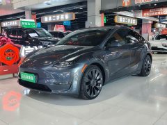 Tesla Model Y Performance All-Wheel Drive - ფოტო 1