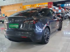 Tesla Model Y Performance All-Wheel Drive - ფოტო 15