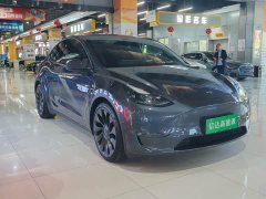 Tesla Model Y Performance All-Wheel Drive - ფოტო 3