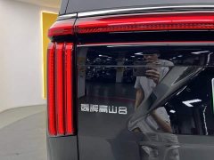 Great Wall WEY Shanshan New Energy Four-Wheel Drive Shanshan 8 - ფოტო 8