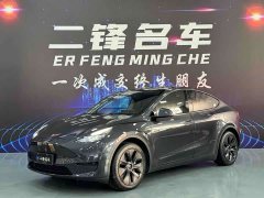 Tesla Model Y Rear-Wheel Drive - ფოტო 1