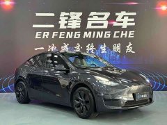 Tesla Model Y Rear-Wheel Drive - ფოტო 3