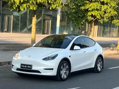 Tesla Model Y 2021 Standard Range RWD - ფოტო 1