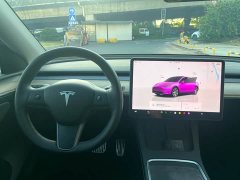 Tesla Model Y 2021 Standard Range RWD - ფოტო 14