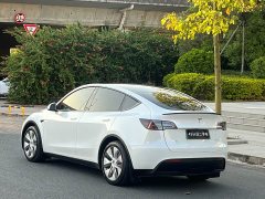 Tesla Model Y 2021 Standard Range RWD - ფოტო 4