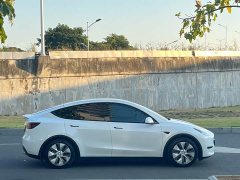 Tesla Model Y 2021 Standard Range RWD - ფოტო 8