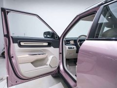 Geely ICON 1.5TD Chocolate Elegant Edition - ფოტო 14