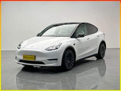 Tesla Model Y Long Range All-Wheel Drive - ფოტო 1
